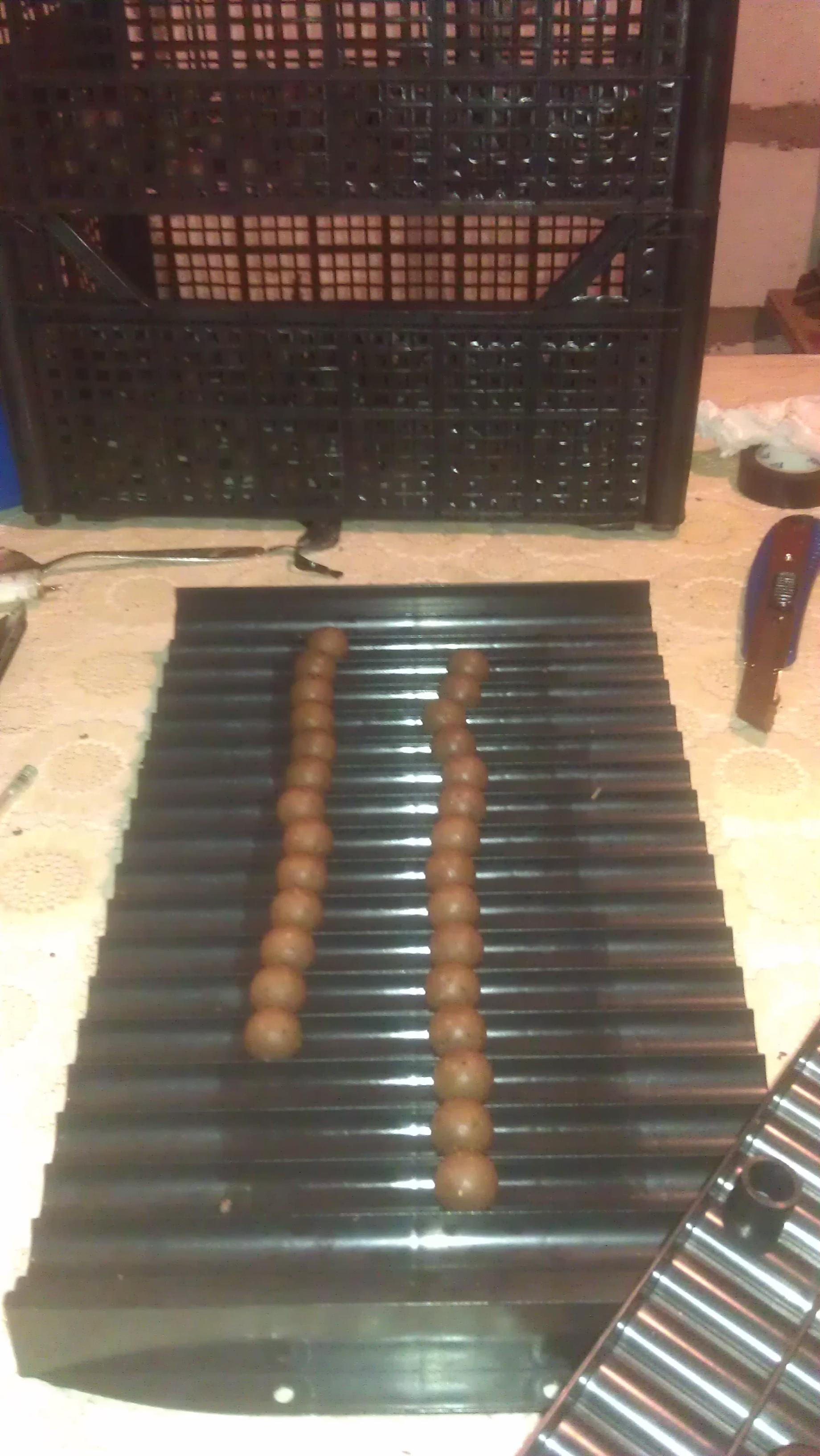 Pregatiri - imag0055.jpg